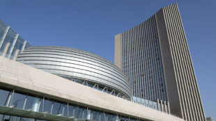 La Uni&oacute;n Africana suspende a Burkina Faso tras el golpe de Estado