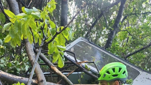 Vier Tote bei Absturz von Seilbahn-Gondel in Italien