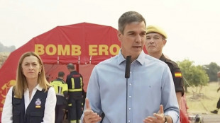 La priorit&eacute; est de "sauver des vies" face aux incendies, d&eacute;clare le Premier ministre espagnol