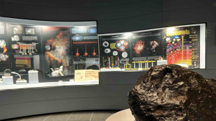 Hypatia, da una piccola pietra una storia inattesa del Sistema solare