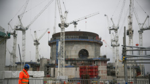 Sécurité énergétique: Londres promet des milliards pour le nucléaire