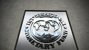 FMI confirma sua previs&atilde;o de crescimento mundial para 2024 a 3,2%