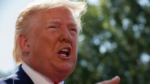 Trump in Epstein files: five takeaways from latest release