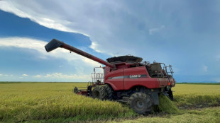 Vietnam, a la vanguardia de la inversión extranjera privada en el campo cubano