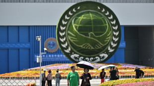 China's Xi welcomes leaders in Tianjin ahead of summit