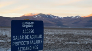 Chile acelera na corrida pelo l&iacute;tio e explora novas salinas