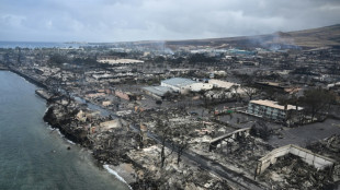 Destructions volontaires? La d&eacute;sinformation s'embrase dans la foul&eacute;e des incendies en Am&eacute;rique du Nord