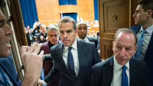 EUA: apari&ccedil;&atilde;o surpresa de filho de Biden tumultua audi&ecirc;ncia no Congresso