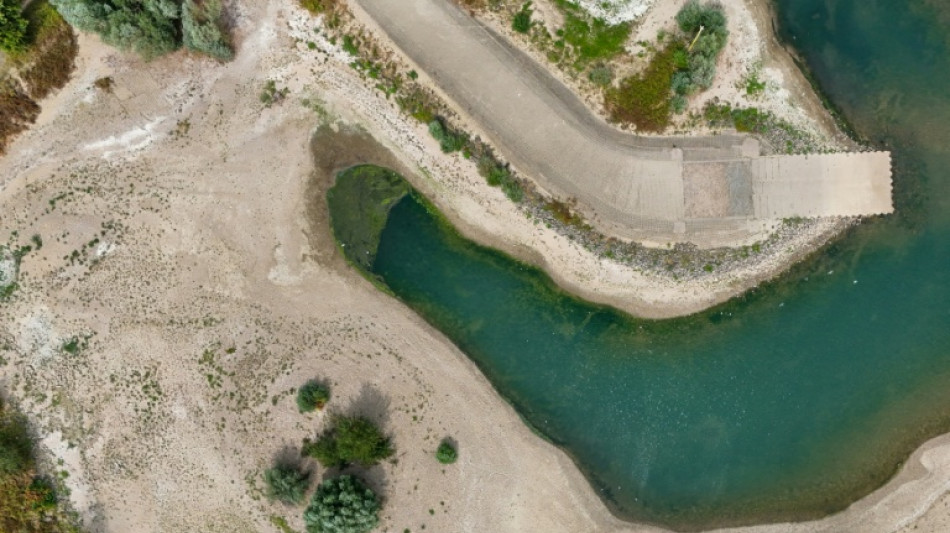 Low water on Germany's Rhine river threatens new blow to economy