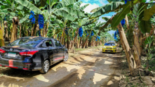 La bananera Chiquita regresa a Panam&aacute; y recontratar&aacute; a miles de trabajadores despedidos