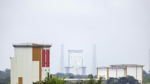 Fusées contre biodiversité: en Guyane, le centre spatial poursuivi pour "atteintes environnementales"