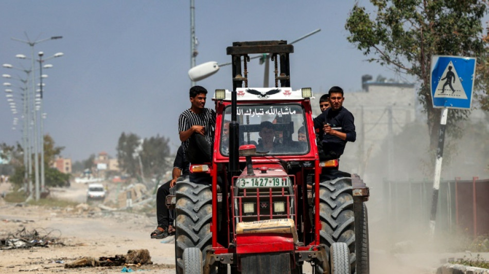 O setor agr&iacute;cola de Gaza, arrasado pela guerra