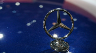 Mercedes CEO urges German 'productivity offensive' as China woes hit profit