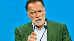 A l'heure de pointe, Schwarzenegger au micro dans le métro de Vienne