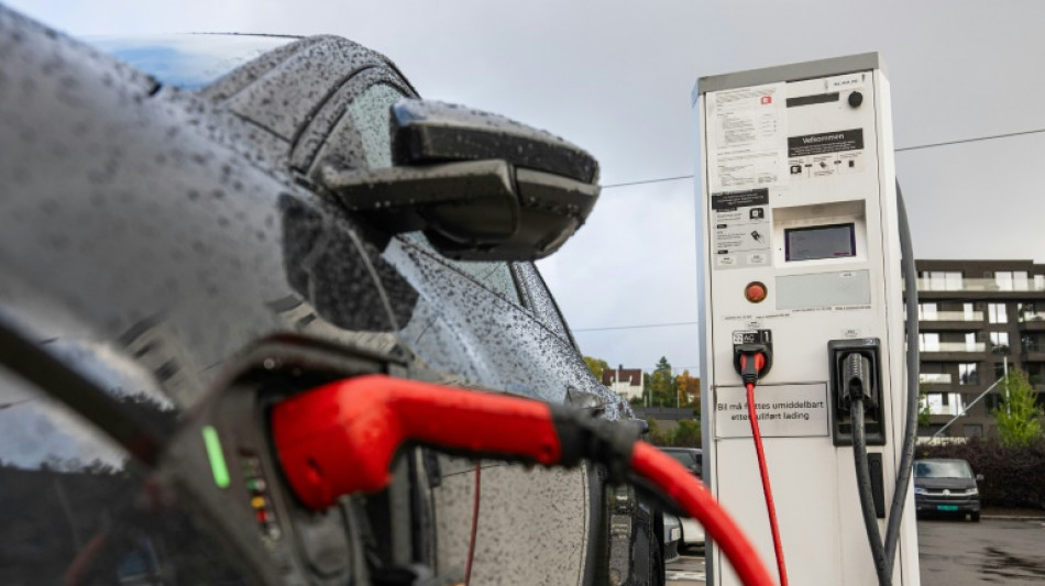 Neuzulassungen in der EU im Januar: Deutlich mehr E-Autos - R&uuml;ckgang bei Verbrennern