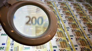 "Investitions-Booster": Bundesrat fordert Ausgleich für Steuerausfälle