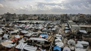 Positives Echo auf gr&uuml;nes Licht f&uuml;r Trumps Gaza-Friedensplan im UN-Sicherheitsrat