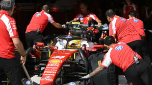 Hamilton, Antonelli stung by grid penalties at Hungarian GP
