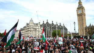Manifestaciones en Londres, Par&iacute;s y Z&uacute;rich por un alto el fuego en Gaza