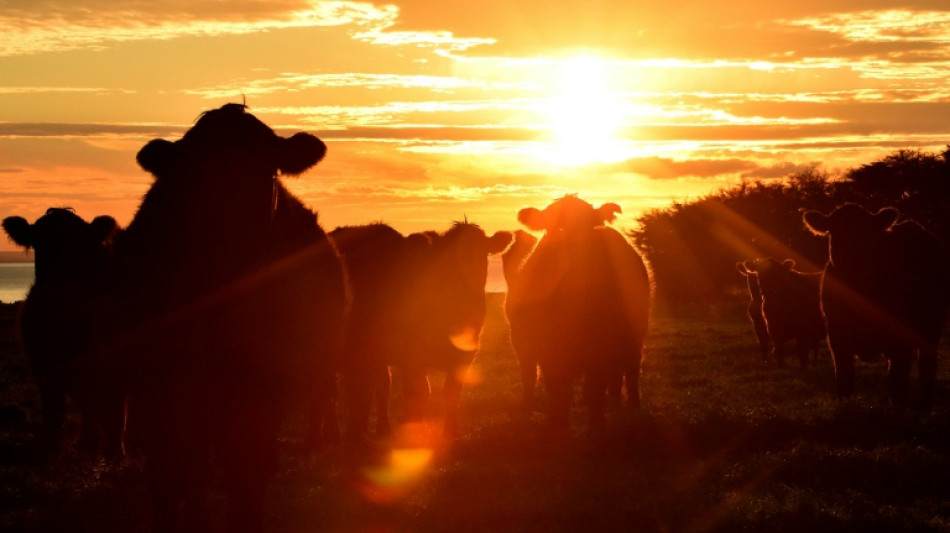 EU close to sealing trade deal with Australia