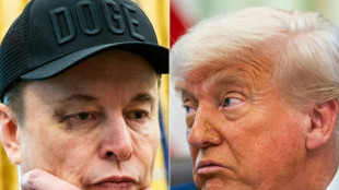 Aliança Trump-Musk implode após discussão 