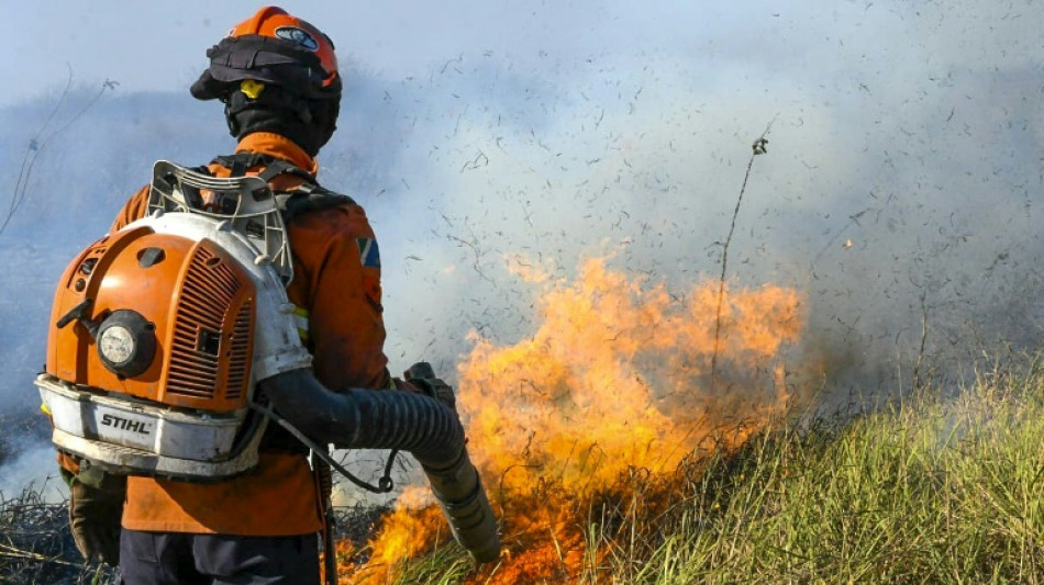 Incendies au Pantanal: &eacute;tat d'urgence dans une r&eacute;gion br&eacute;silienne