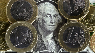 L'euro &egrave; stabile, a 1,1165 dollari