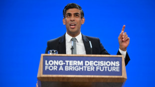 El primer ministro brit&aacute;nico se presenta como palad&iacute;n del cambio en el congreso conservador