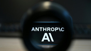 Anthropic bets on cheaper AI with new model