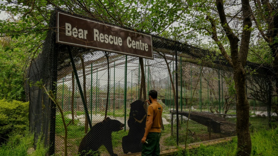 A Islamabad, l'ancien zoo d&eacute;sormais au service des animaux maltrait&eacute;s