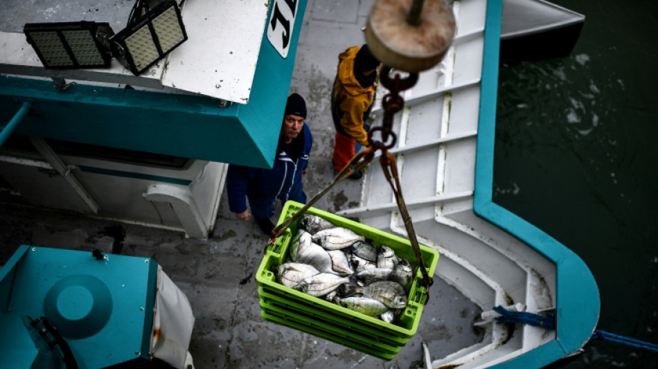 Reuni&atilde;o ministerial da OMC tem negocia&ccedil;&otilde;es complexas sobre pesca e agricultura