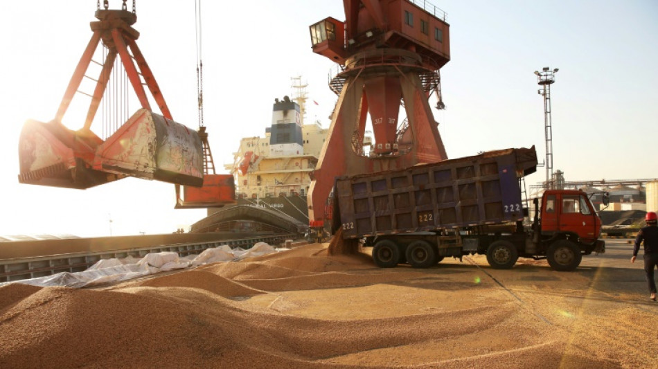 Pro-Trump, les agriculteurs américains piégés par la guerre commerciale