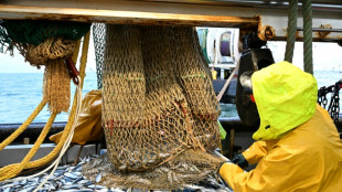 A bord du Nicolas-Jérémy, la dernière génération d'une lignée de pêcheurs