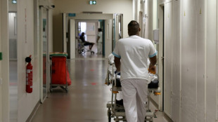 Chikungunya à La Réunion: le bilan provisoire passe à neuf morts, l'épidémie "se stabilise" 