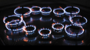 Il gas dimezza il calo ma &egrave; ancora sotto i 30 euro al Mwh