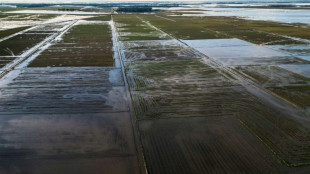 Brasil zera tarifa de importa&ccedil;&atilde;o de arroz ap&oacute;s perdas com enchentes