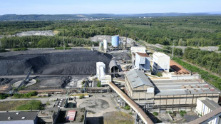 Saint-Avold: l'Assembl&eacute;e approuve d&eacute;finitivement la conversion de la centrale