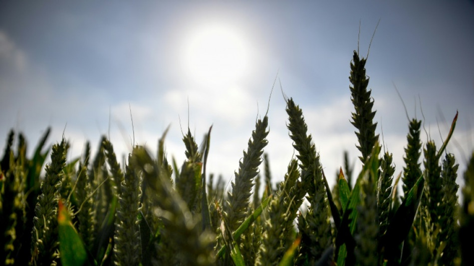 Climat: la France est devant "un mur d'investissements" pour l'adaptation (ministre de la Transition &eacute;cologique)
