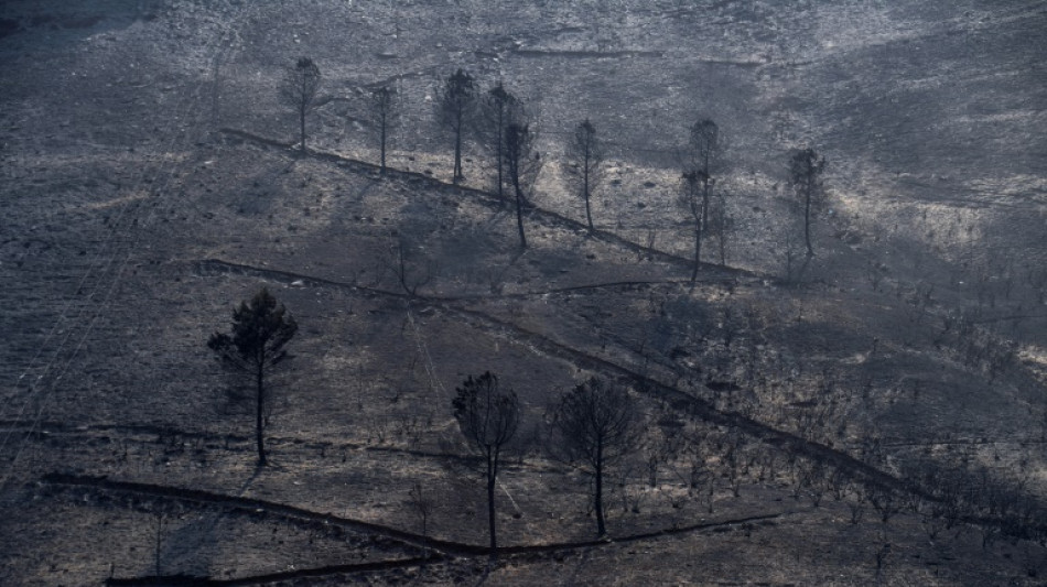 El viento complica la lucha contra los incendios en España