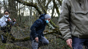 Affaire Jubillar : un témoignage surprise à quelques semaines du procès d'assises