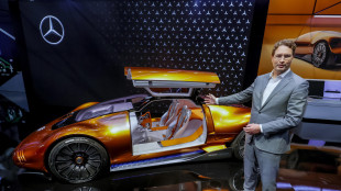 Acea, 'sfide sono diverse ma industria dell'auto &egrave; resiliente'