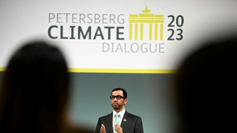 K&uuml;nftiger COP-Pr&auml;sident ruft zu Verdreifachung erneuerbarer Energien auf