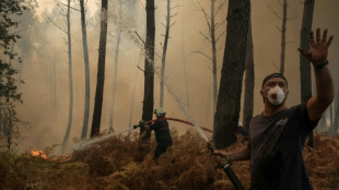 Le m&eacute;gafeu de Gironde n'a "pas progress&eacute;", un retour &agrave; la "normale" envisageable