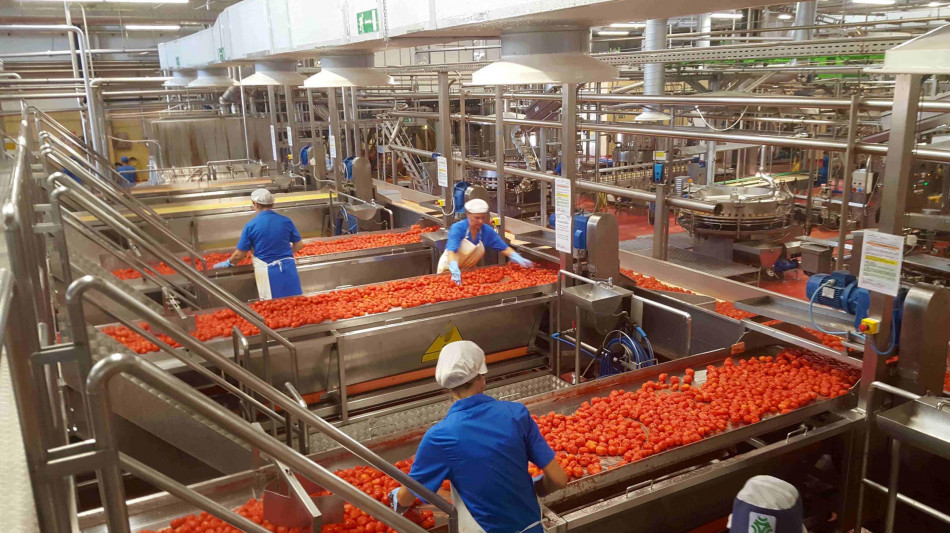 Da Bcc Iccrea e Cdp contratto di filiera per 31 milioni con Conserve Italia