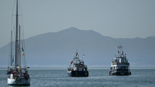 La flottille pour Gaza affirme qu'un autre de ses bateaux a été touché et soupçonne un drone