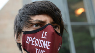 Du sursis requis contre des animalistes pour des tags et d&eacute;gradations dans des &eacute;levages